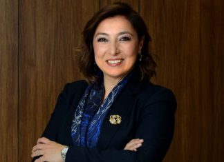 Mentor desteği de sağlıyorlar