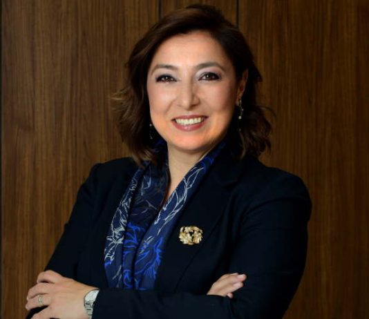 Mentor desteği de sağlıyorlar