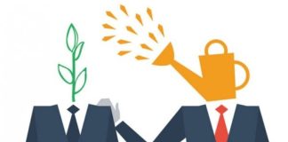 Mentorluk, bilgi ve deneyimin yeni nesillere aktarılmasını sağlayan en önemli gelişim araçlarından biri olarak öne çıkıyor. Özellikle girişimcilik, kariyer planlaması, liderlik gelişimi ve kurumsal dönüşüm süreçlerinde etkili olan mentor programları, günümüz iş dünyasının vazgeçilmez uygulamalarından biri haline geldi. Değişen teknoloji, uzaktan çalışma modelleri ve dijital iletişim araçlarının yaygınlaşmasıyla birlikte mentorluk anlayışı da dönüşüm geçiriyor. Uzmanlar, gelecekte mentorluk programlarının daha erişilebilir, veri odaklı ve kişiselleştirilmiş bir yapıya kavuşacağını öngörüyor. Konulu bir haber görseli.
